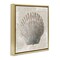Stupell Industries Clam Shell over Vintage Pattern Floating Frame By Conrad Knutsen